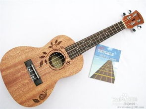 相对好学的乐器推荐