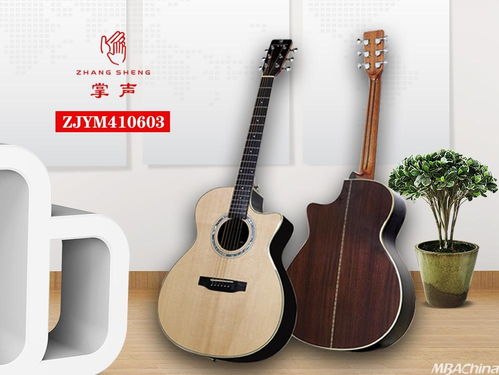 掌声音乐器 以品牌战略驱动，布局千万级市场新蓝图